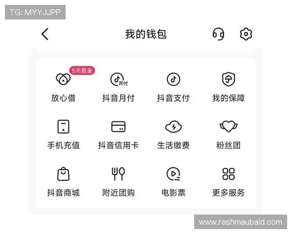 全面解析真人国际厅官网的支付方式与极速提款服务体验